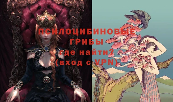 дмт Богданович