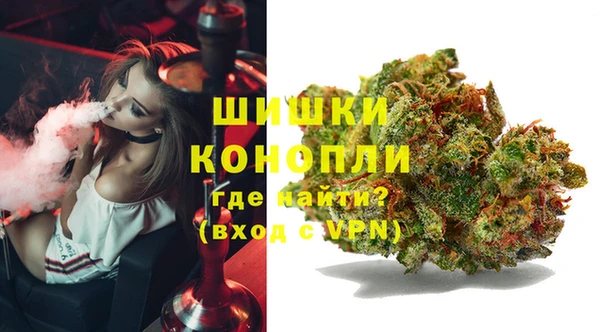 spice Богородицк